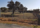 Land suitable for development for sale on Casquero, Dos Hermanas, ref: TR66181 photo