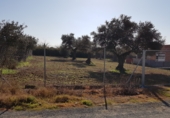 Land suitable for development for sale on Casquero, Dos Hermanas, ref: TR66181 photo