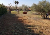 Land suitable for development for sale on Casquero, Dos Hermanas, ref: TR66181 photo