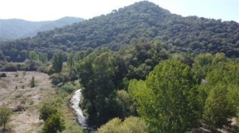 Málaga - Faraján - 20000m2
