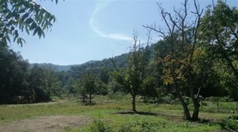 Málaga - Faraján - 20000m2