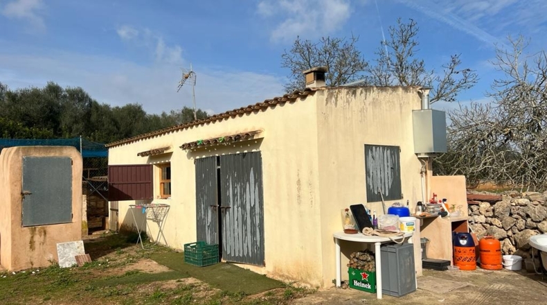 Islas Baleares - Ariany - 21743m2