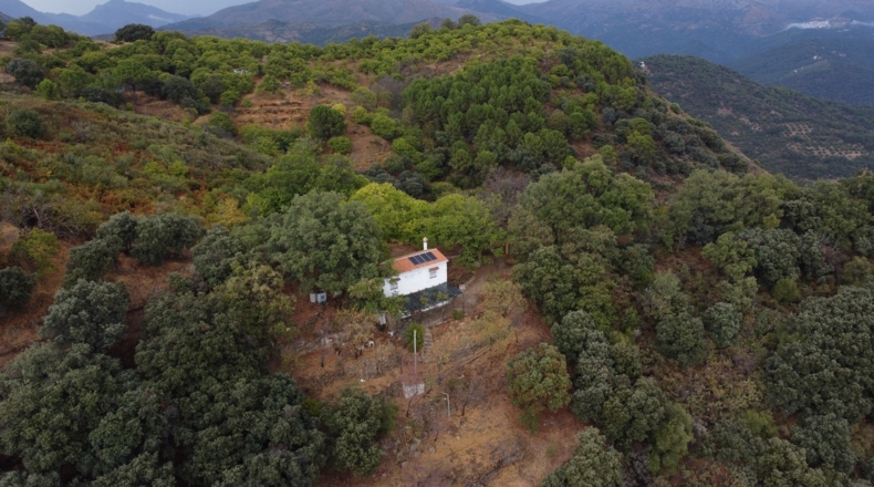 Málaga - Benalauría - 3191m2