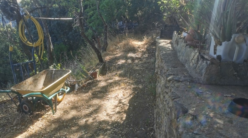 Málaga - Benalauría - 3191m2