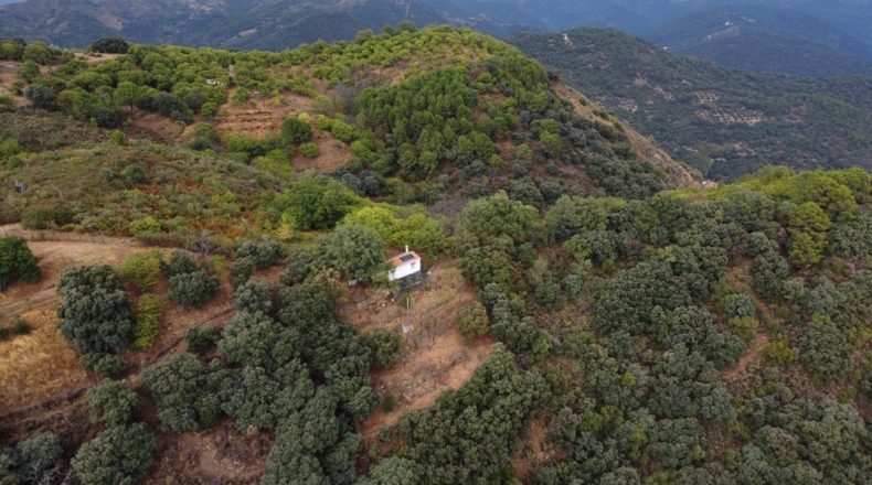 Málaga - Benalauría - 3191m2