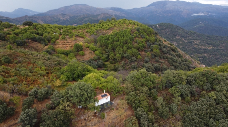 Málaga - Benalauría - 3191m2