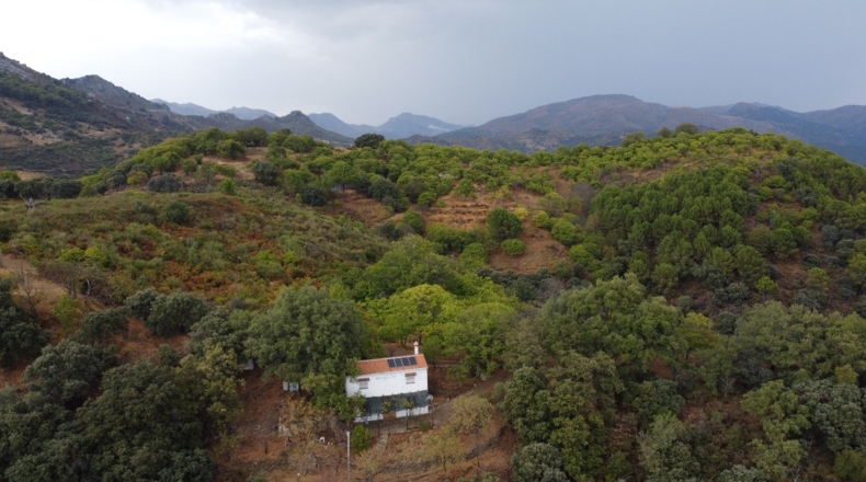 Málaga - Benalauría - 3191m2