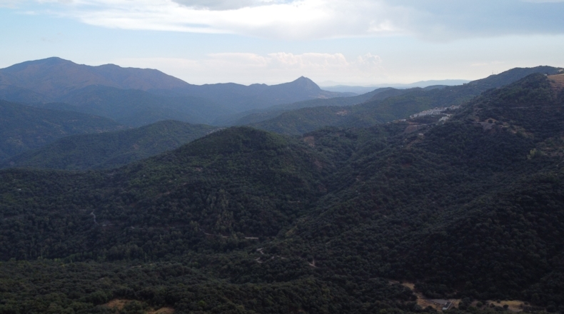 Málaga - Benalauría - 3191m2