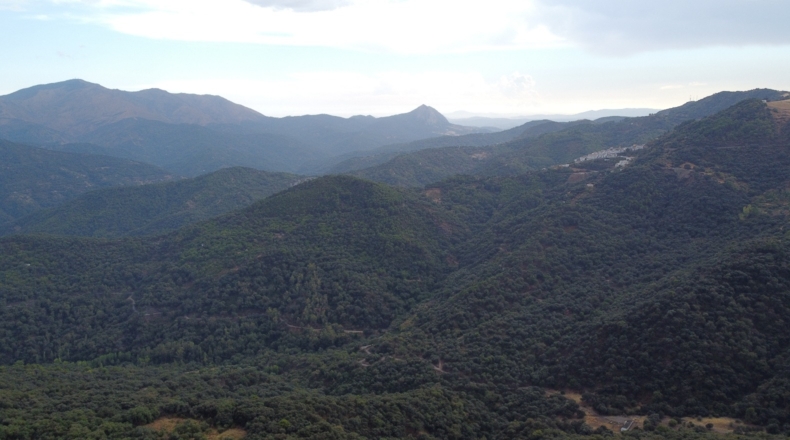 Málaga - Benalauría - 3191m2
