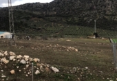 Parcel·la urbanitzable en venda a la MA-8403, Montejaque, ref.: TR66350 foto
