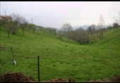 Land suitable for development for sale on Moñes, Villamayor, ref: TR66357 photo