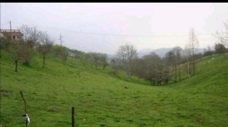 Asturias - Villamayor - 2365m2