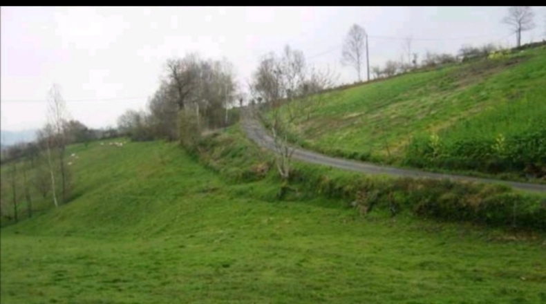Asturias - Villamayor - 2365m2