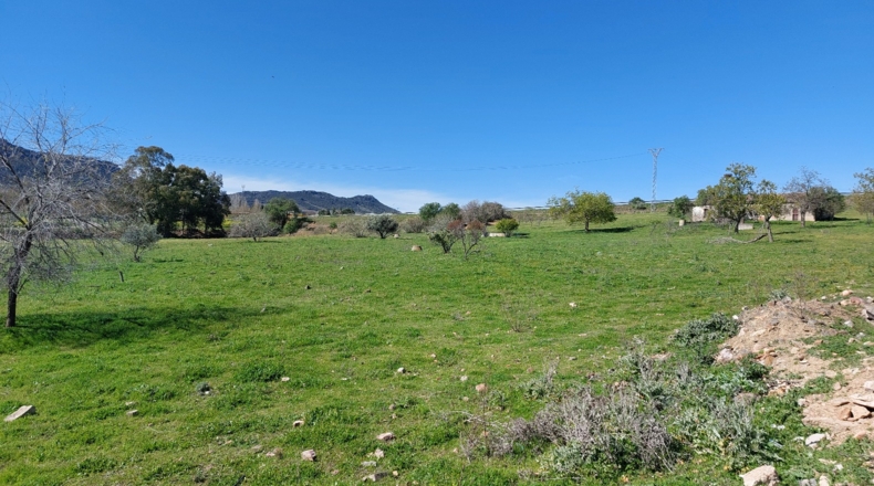 Badajoz - Cabeza del Buey - 30000m2