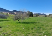 Parcela urbanizable en venta en la Estación, Cabeza del Buey, ref: TR66693 foto