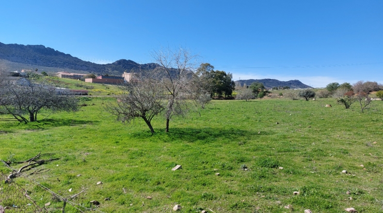 Badajoz - Cabeza del Buey - 30000m2
