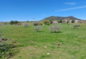 Parcela urbanizable en venta en la Estación, Cabeza del Buey, ref: TR66693 foto