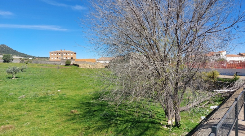 Badajoz - Cabeza del Buey - 30000m2