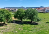Parcela urbanizable en venta en la Estación, Cabeza del Buey, ref: TR66693 foto