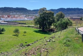 Foto 14
