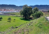 Parcela urbanizable en venta en la Estación, Cabeza del Buey, ref: TR66693 foto