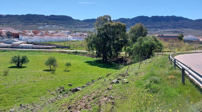Badajoz - Cabeza del Buey - 30000m2