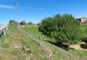 Parcela urbanizable en venta en la Estación, Cabeza del Buey, ref: TR66693 foto