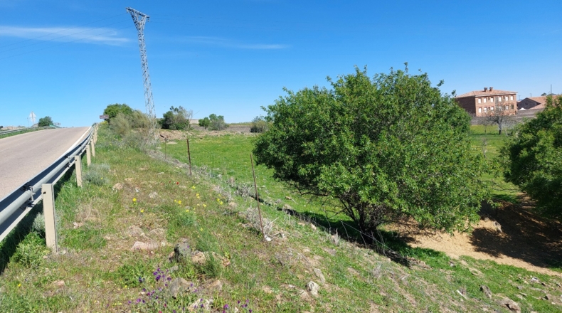 Badajoz - Cabeza del Buey - 30000m2