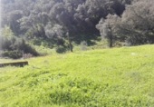 Finca rústica en venda a la NUESTRA SEÑORA DE LINARES FINCA PRADILLOS Y FAJARDA, Còrdova, ref.: TR66692 foto