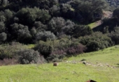 Finca rústica en venda a la NUESTRA SEÑORA DE LINARES FINCA PRADILLOS Y FAJARDA, Còrdova, ref.: TR66692 foto