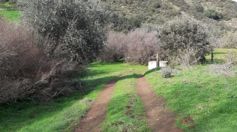 Córdoba - Córdoba - 702780m2