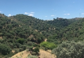 Finca rústica en venda a la NUESTRA SEÑORA DE LINARES FINCA PRADILLOS Y FAJARDA, Còrdova, ref.: TR66692 foto