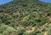 Finca rústica en venda a la NUESTRA SEÑORA DE LINARES FINCA PRADILLOS Y FAJARDA, Còrdova, ref.: TR66692 foto