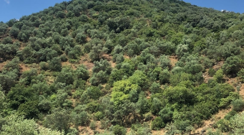 Córdoba - Córdoba - 702780m2