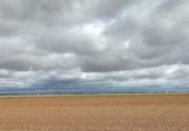 Non-developable land for sale on Santa Maria de las Tiendas, Cervatos de la Cueza, ref: TR66706 photo