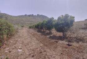 Tegueste 27854&nbsp;m² 