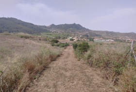 Tegueste 27854&nbsp;m² 
