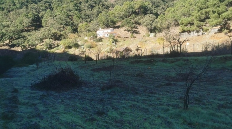 Málaga - Istán - 50000m2