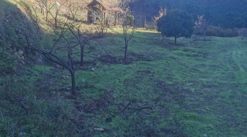 Málaga - Istán - 50000m2