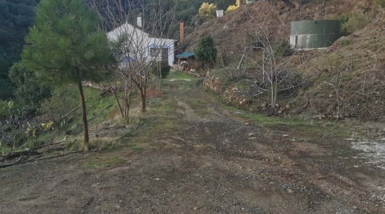 Málaga - Istán - 50000m2