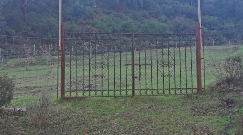 Málaga - Istán - 50000m2