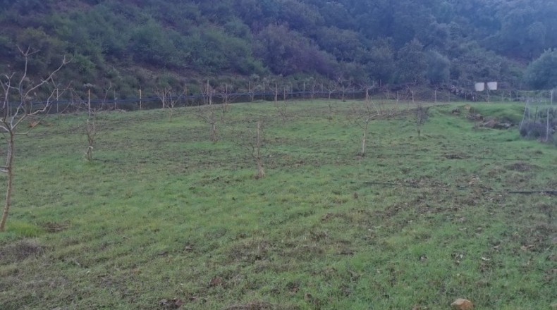 Málaga - Istán - 50000m2