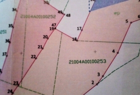 Foto 9