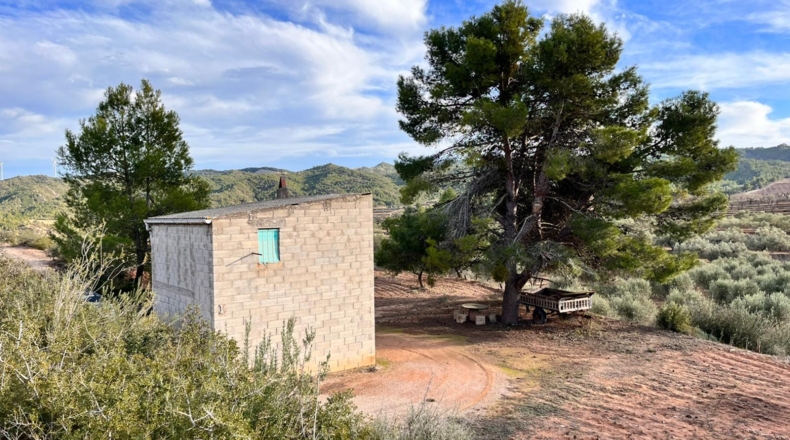 Tarragona - Ascó - 50488m2