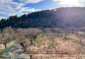 Finca rústica en venta en la Camí de la Cabana de l'Espardenyer, Ascó, ref: TR67227 foto