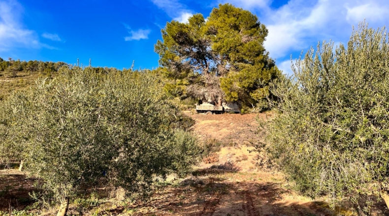 Tarragona - Ascó - 50488m2
