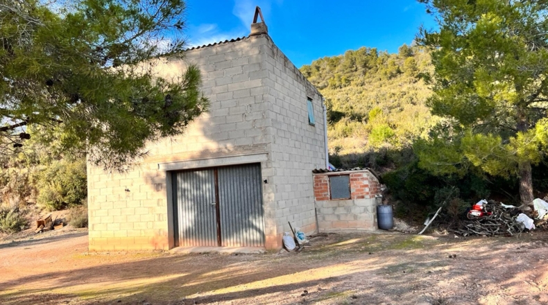 Tarragona - Ascó - 50488m2