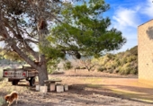 Finca rústica en venta en la Camí de la Cabana de l'Espardenyer, Ascó, ref: TR67227 foto
