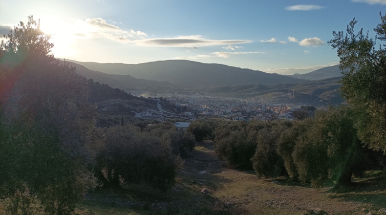 Jaén - Los Villares - 21000m2