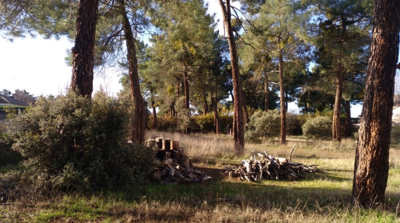 Segovia - Marugán - 1540m2